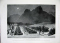 Original Old Antique Print 1896 Chicago Cattle Stockyard America War Dongola