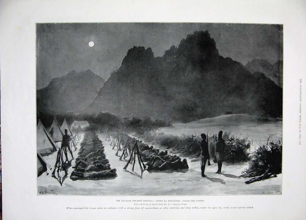 Original Old Antique Print 1896 Chicago Cattle Stockyard America War Dongola