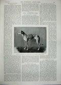 Old Antique Print 1896 Jameson Ship Harlech Castle Victoria Dog Fortune 19th