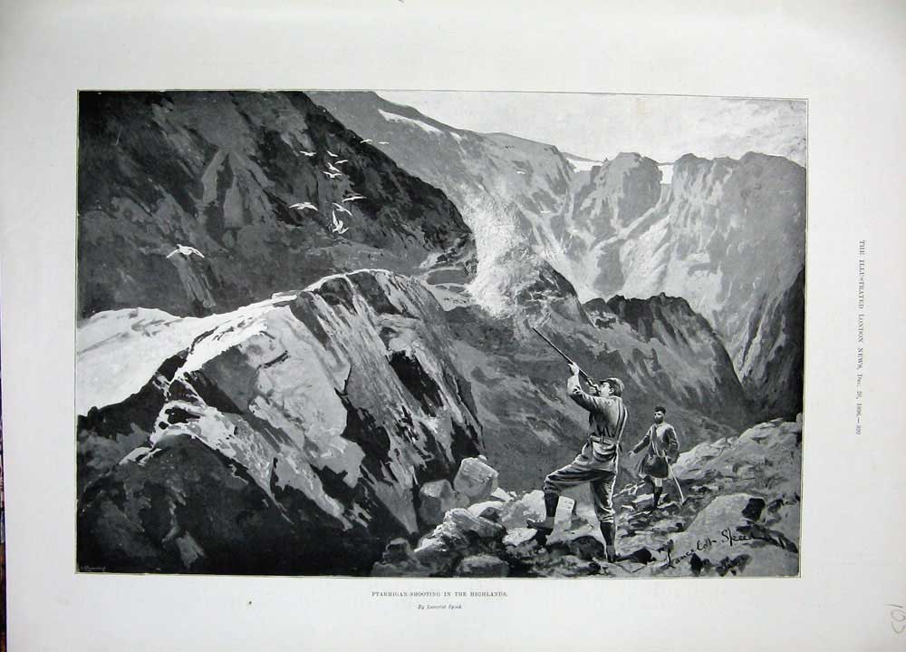 Original Old Antique Print 1896 Ptarmigan Shooting Highlands Scotland Sport Gun