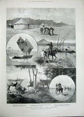 Original Old Antique Print 1896 Children Bathing Sea Dongola War Cholera Camp
