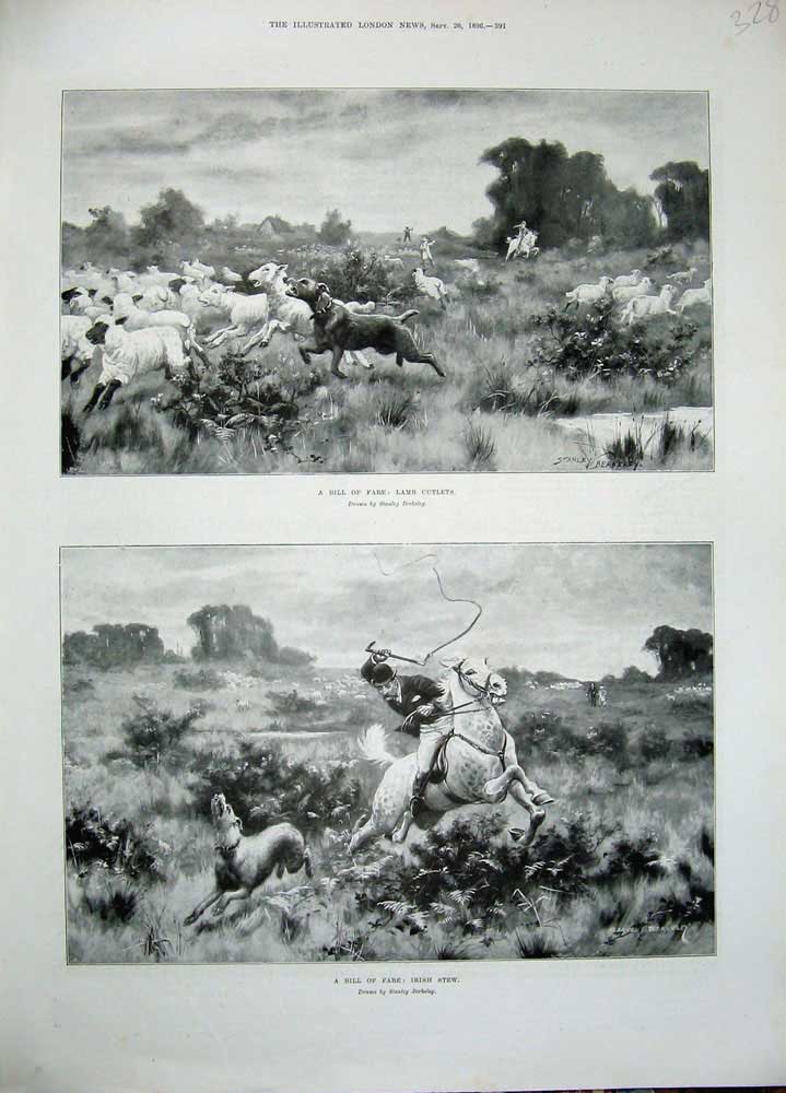 Original Old Antique Print 1896 Lamb Sheep Dog Horses Man Whip Country Berkeley