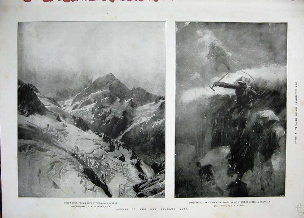 Old Antique Print 1896 New Zealand Alps Mountains Mount Cook Silberhorn 19th