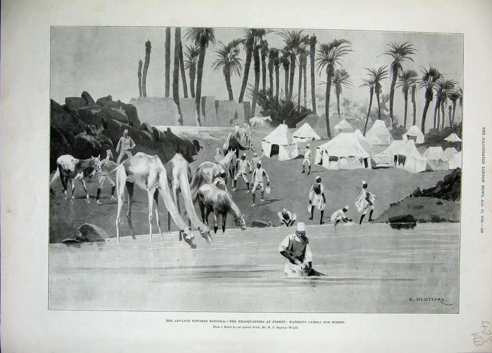 Antique Old Print 1896 Dongola Ferket Camels Horses Egyptian Cavalry Burn 19th