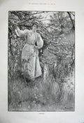 Old Antique Print 1899 Lady Spring Trees British Army Wellington Watson 19th