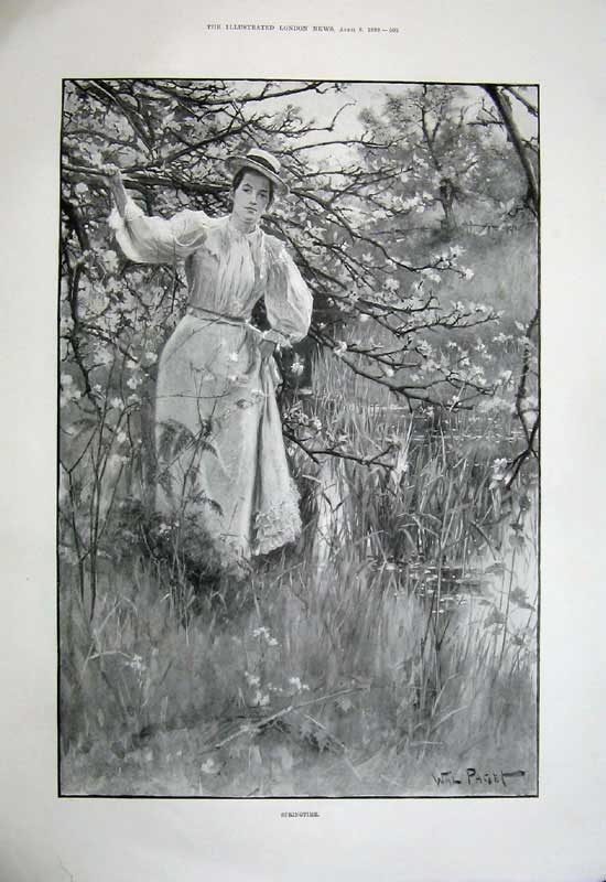 Old Antique Print 1899 Lady Spring Trees British Army Wellington Watson 19th