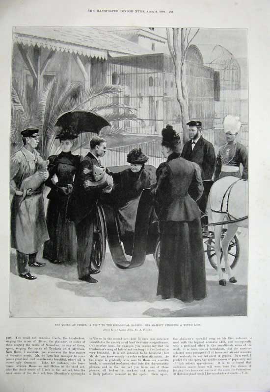 Antique Old Print 1899 Ice Harvest Davos Queen Cimiez Zoological Lion Cub 19th