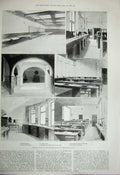 Original Old Antique Print 1899 Zoological Gardens Maras Cavies Medical School