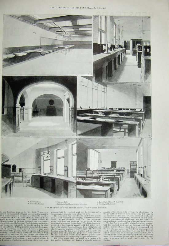 Original Old Antique Print 1899 Zoological Gardens Maras Cavies Medical School