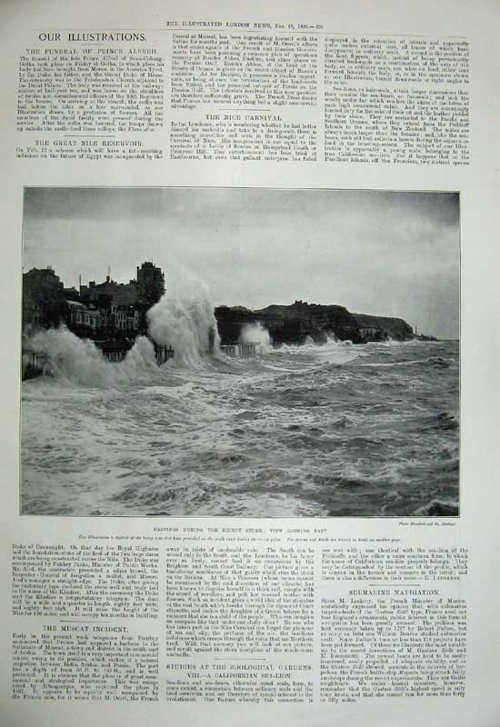 Old Antique Print 1899 Nice France Horse Carriage Flowers Hastings Storm 19th