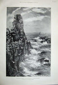 Old Antique Print 1899 Seagulls Birds Rocks Sea Stacks Alexander Mortimer 19th