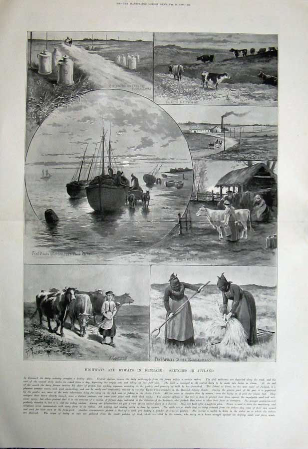 Old Antique Print 1899 Denmark Jutland Farming Harvest Ship Cattle Dairy 19th