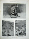Old Antique Print 1900 Monkey Prince Wales Uganda Railway Leimono Douraki 20th