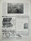 Old Antique Print 1900 Raising Ship Ibex Harbour Guernsey Advert Watches 20th