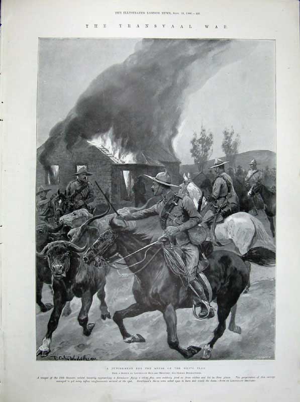 Old Antique Print 1900 Manchester Post Office Transvaal War Horses Fire 20th