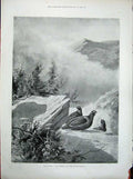 Old Antique Print 1900 China Mongolian Tribes Manchuria Pheasant Birds 20th