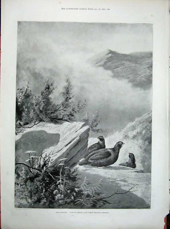 Old Antique Print 1900 China Mongolian Tribes Manchuria Pheasant Birds 20th