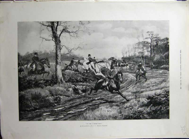 Original Old Antique Print 1900 Fine Art Horses Hunting Sport Country Haymarket