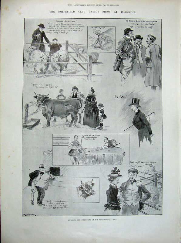 Original Old Antique Print 1900 Prince Wales Smithfield Cattle Show Rothschild