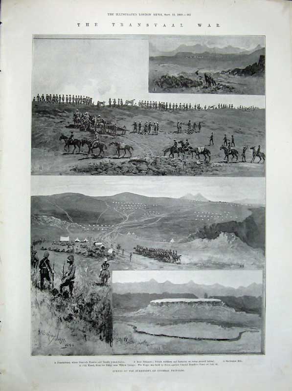 Old Antique Print 1900 Transvaal War General Prinsloo Nooitgedacht Army 20th