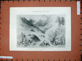 Original Old Antique Print 1900 Mound Dwellings Auchingaich Glen Lady Hodgson