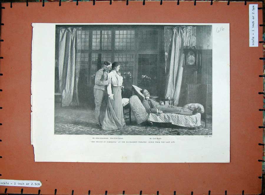 Original Old Antique Print 1900 Second Command Haymarket Theatre Maude Carlisle