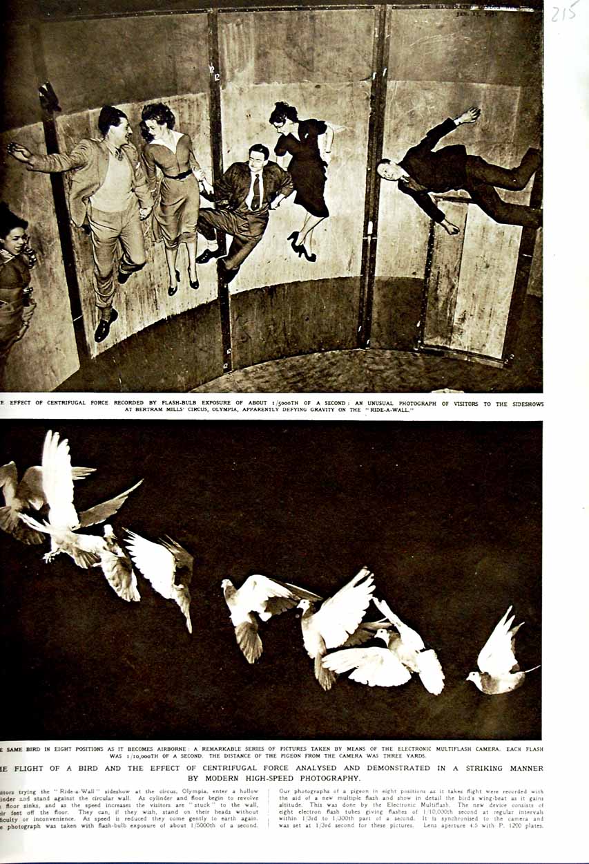 Original Old Vintage Print 1951 Sideshows Bertram Circus Olympia Pigeon Camera