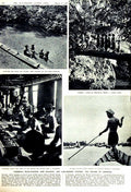 Antique Old Print 1951 Delhi Asian Sport American Food Yugoslavia Sarawak 20th
