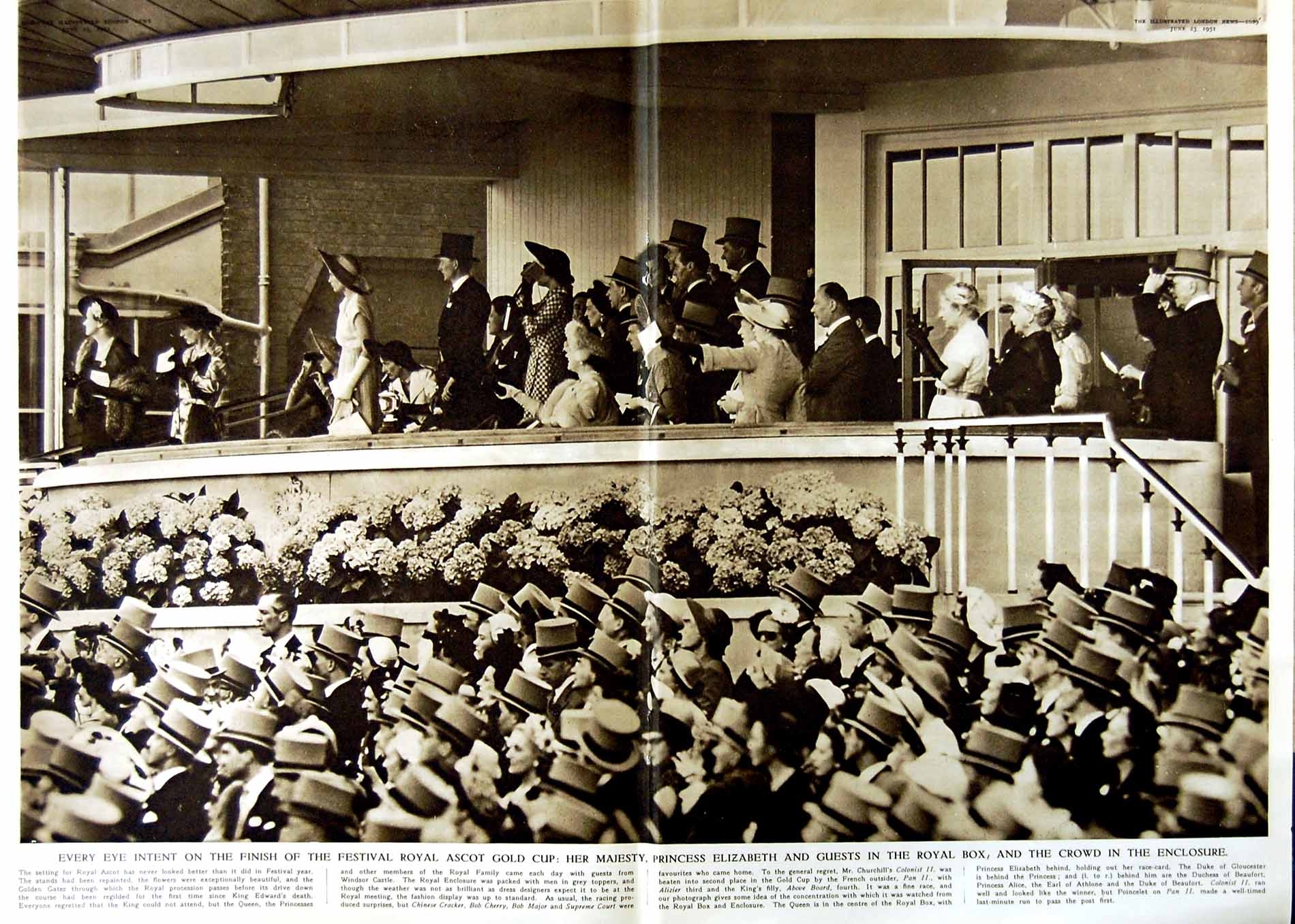 Original Old Vintage Print 1951 Ascot GCup Princess Elizabeth Royal Box Korea