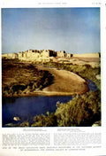 Old Vintage Print 1951 Antelope Zoo Gazelle Palace Lashkari Afghanistan 20th