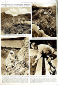 Old Vintage Print 1951 Volcanologist Craters Rabaul Taylor Papua Guinea 20th