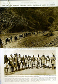 Antique Old Print 1950 Women Parliament Middleton Hillward Cullen Corbett 20th
