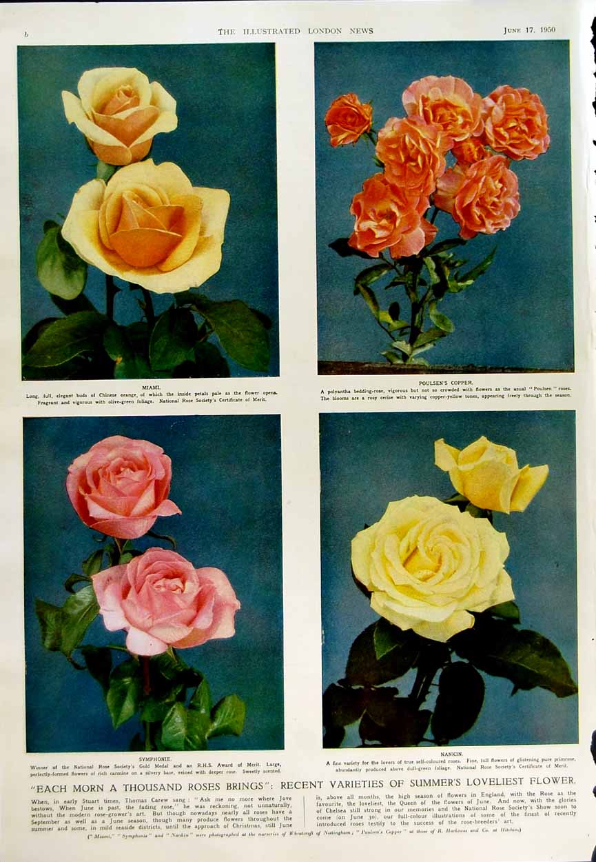 Old Vintage Print 1950 Princess Elizabeth Prince Charles Flowers Miami 20th