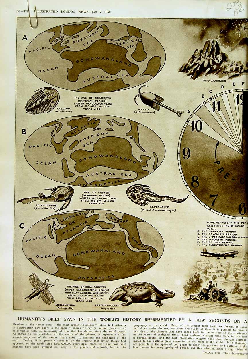 Old Vintage Print 1950 Chart World Geological Systems Animals Human Race 20th