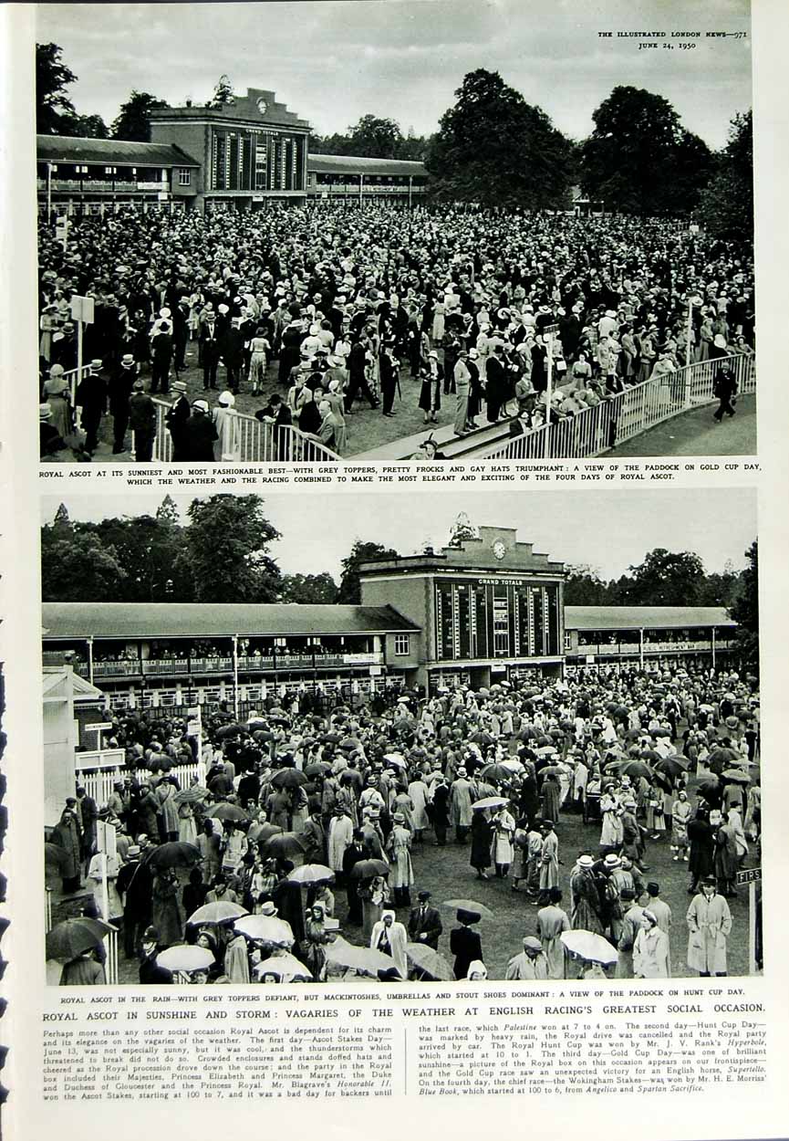 Original Old Vintage Print 1950 Prince Denmark Tennis Sport Royal Ascot Horses