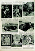 Old Vintage Print 1950 Tame Lioness Home America Westbeau Car Camel Arms 20th