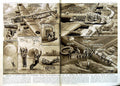 Old Vintage Print 1950 R.A.F Crews Training Drills Aircraft Ethiopia Men 20th