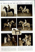 Old Vintage Print 1950 Harringay Horse Show Llewellyn Evans Mighty Atom 20th