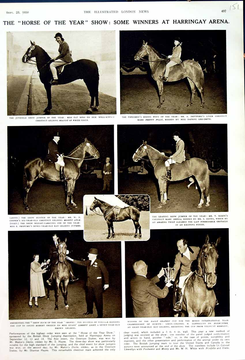 Old Vintage Print 1950 Harringay Horse Show Llewellyn Evans Mighty Atom 20th