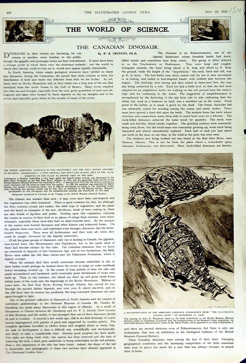 Original Old Vintage Print 1950 Canadian Dinosaur Scolosaurus Archaeology 20th