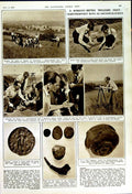 Original Old Vintage Print 1950 Archaeology Brighton Woodard Revill Apollo Bowl