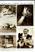 Original Old Vintage Print 1950 Roman Fort Polar Bear Aircraft Husky Dogs Bed