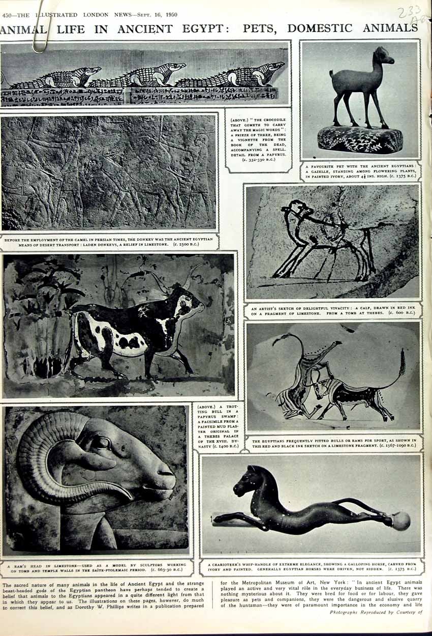Original Old Vintage Print 1950 Effigy Lawrence Arabia Art Gallery Washington