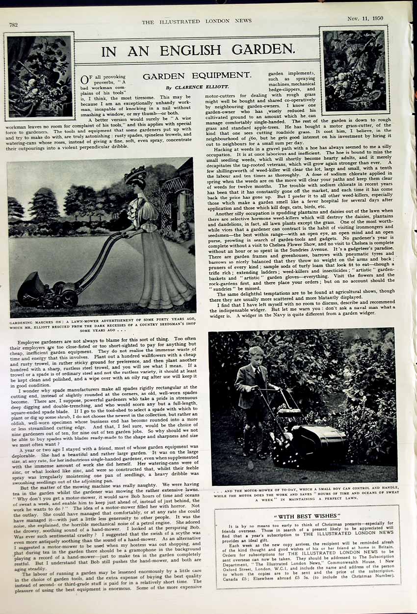 Original Old Vintage Print 1950 Queen Mudlark Douglas Blandford English Garden