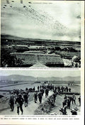 Original Old Vintage Print 1950 Korean Siers British Sariwan Parachute War