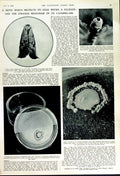 Old Vintage Print 1949 Moth Palisade Caterpillars Laboratory Dish Scales 20th