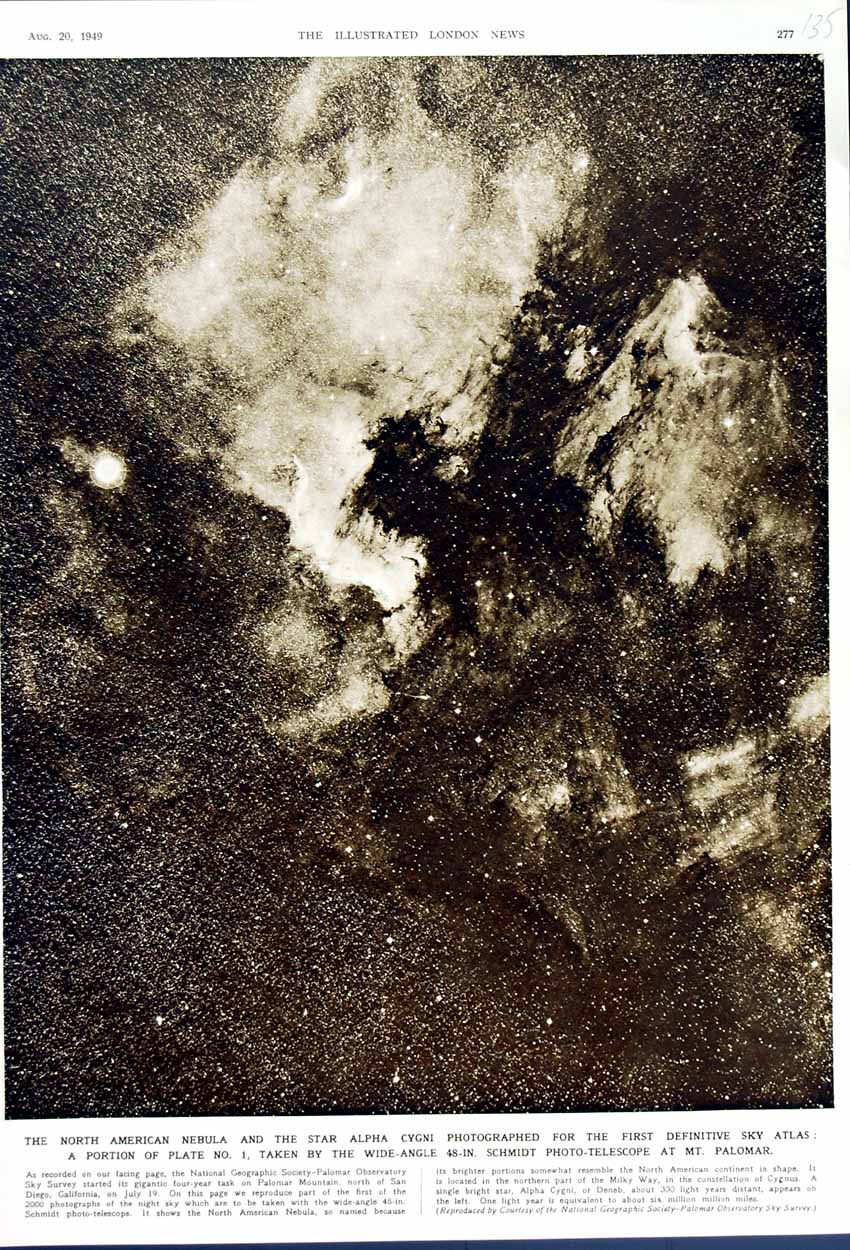 Original Old Vintage Print 1949 American Nebula Star Cygni Observatory Palomar