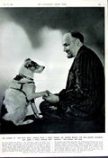 Original Old Vintage Print 1949 Dr Arthur Bryant Historian Jimmy Terrier Dog