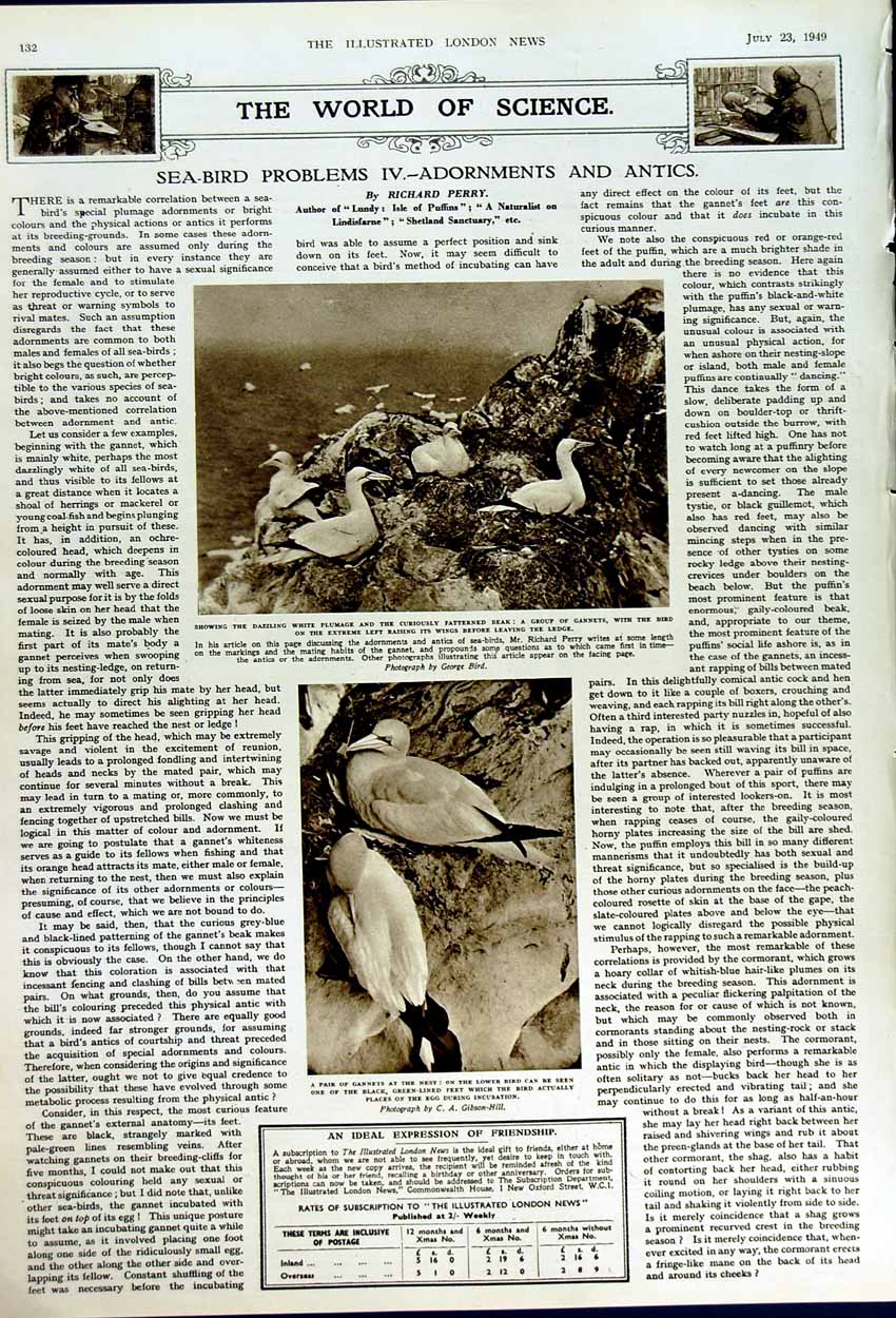 Old Vintage Print 1949 Archaeology Azarbaijan Aegean Sea Birds Gannets 20th