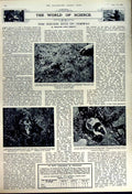 Old Vintage Print 1949 Archeaology Apollo Horned God Alasia Rats Norway 20th